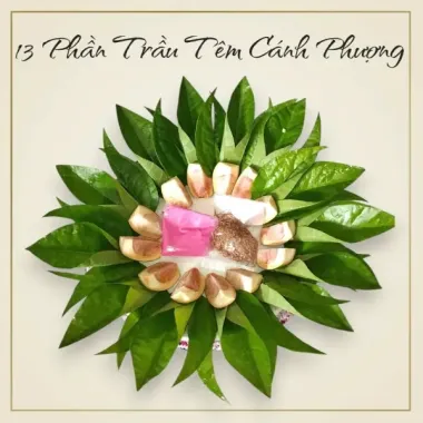 Trầu Têm Cánh Phượng