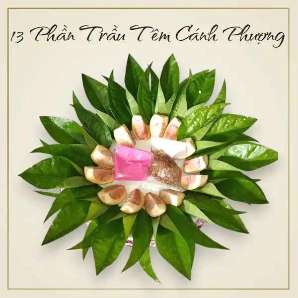 Trầu Têm Cánh Phượng